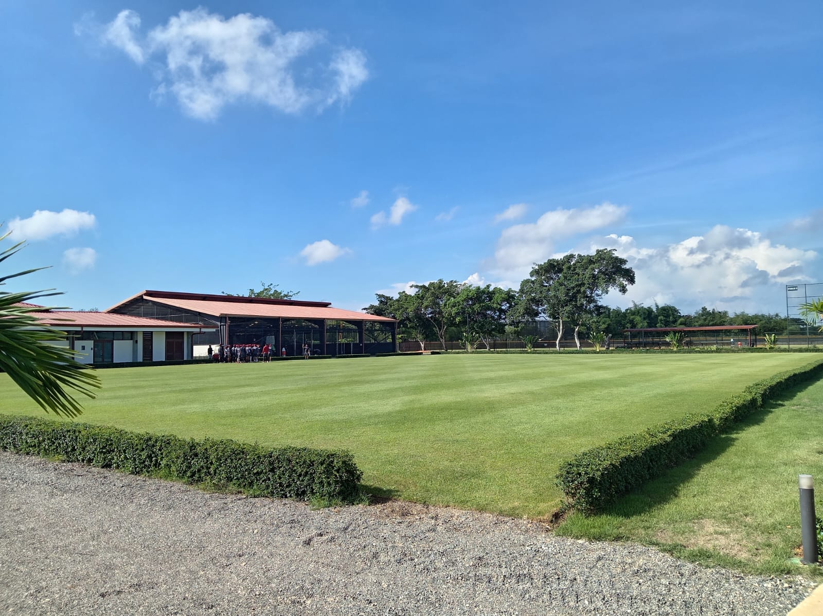 Restauración del césped de la academia de los Arizona Diamondbacks — Campo de agilidad a nivel de terreno