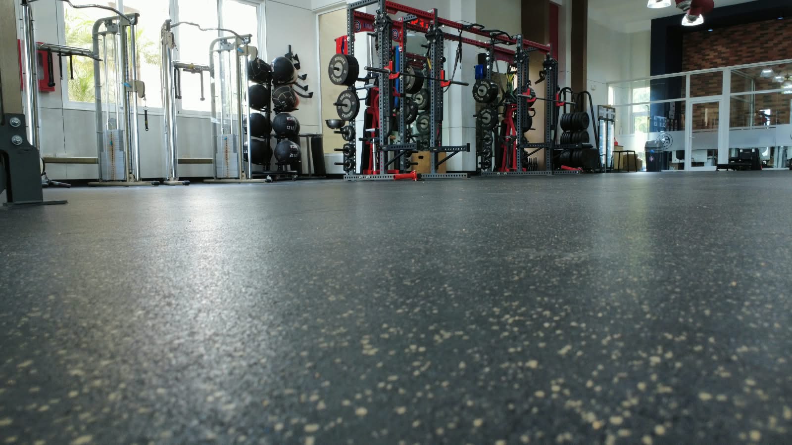 Chicago Cubs Gym Flooring — Weight-room flooring