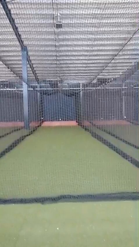Jaulas de bateo: Tampa Bay Rays