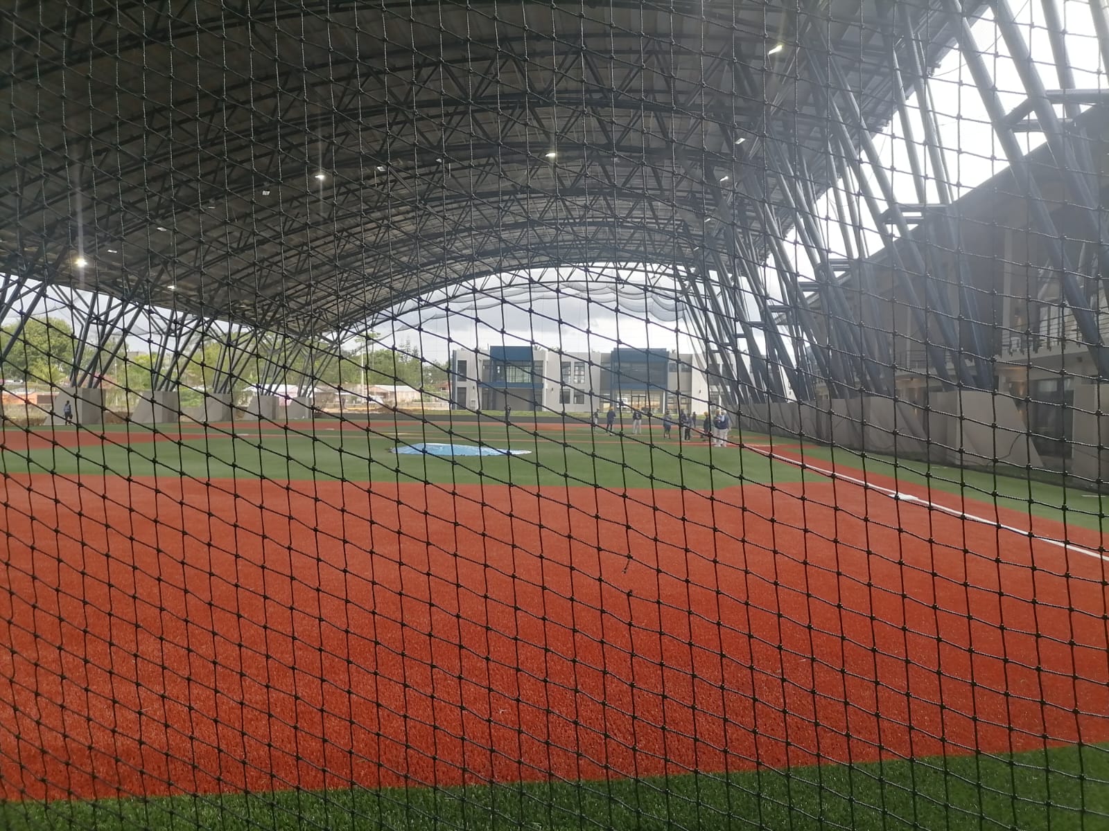 Indoor Field Netting: Tampa Bay Rays — Indoor field netting